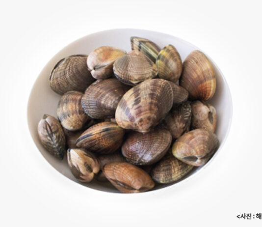영양가 풍부한 3월 수산물 2가지