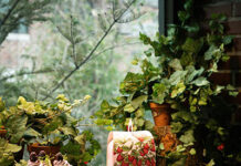 상큼한 비타민C가 톡톡~ 과일 카페에서 즐기는 건강 충전