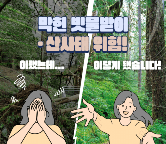 막힌 빗물받이·산사태 위험 “이랬는데 요래 됐습니다”