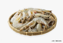 영양가 풍부한 9월 수산물 2가지