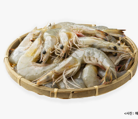 영양가 풍부한 9월 수산물 2가지