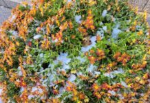 도서관에서 만나는 계절과 계절 사이