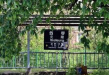 경기북부 교외선 21년 만에 운행 재개…대곡~의정부 50분