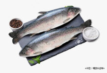 영양가 풍부한 1월 수산물 2가지