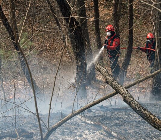 한 권한대행, 이재민지원 대책 긴급지시…구호물품 각 시·군에 공급