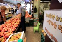 7월 소비 29개월 만에 가장 큰 폭 상승…소비쿠폰 효과