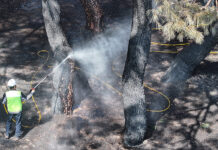 경북·경남·울산 산불특별법 공포…피해 주민 지원 본격화